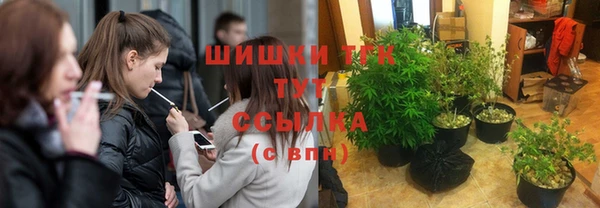 ешки Алексеевка