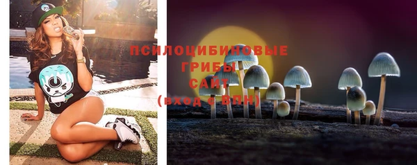 шишки Алзамай