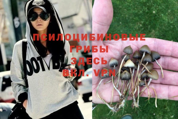 ешки Алексеевка