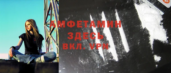 шишки Алзамай