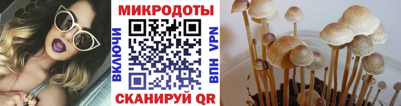 KRAKEN ТОР  Красноуфимск  Псилоцибиновые грибы ЛСД 