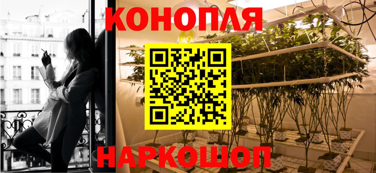 Конопля сатива Красноуфимск